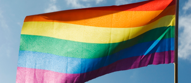 Mariage gay : les appels à SOS homophobie ont triplé en décembre 