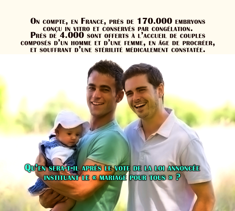 2013 : Les couples homosexuels vont-ils pouvoir adopter des embryons congelés ?