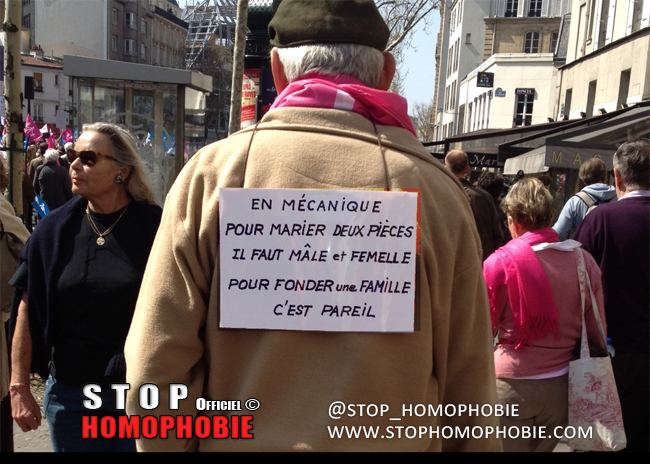 Mariage pour tous. Opposants et partisans dans la rue à Paris