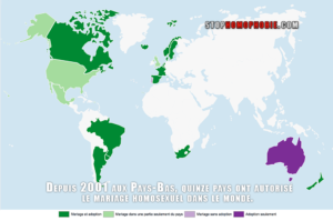 Depuis-2001-aux-Pays-Bas,-quinze-pays-ont-autorisé-le-mariage-homosexuel-dans-le-monde