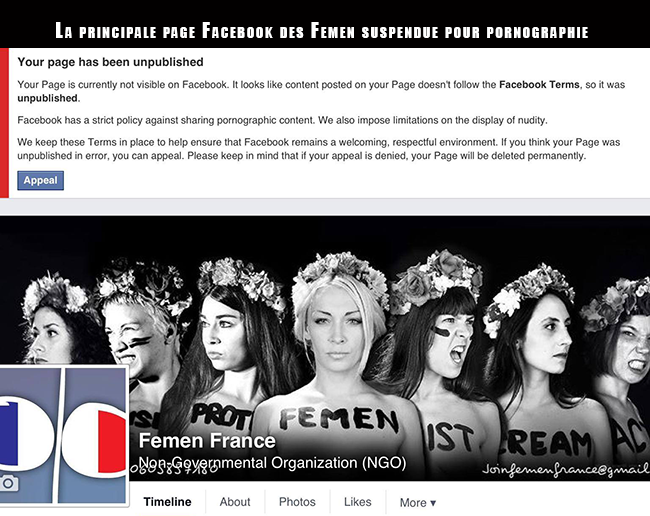 Solidarité, débats d'idées et liberté d'expression : Porno by FEMEN ! Des images de militantes seins nus, c'est de la pornographie ?