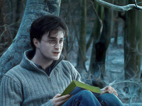 Etude : Les lecteurs d’Harry Potter sont plus enclins à respecter les groupes minoritaires