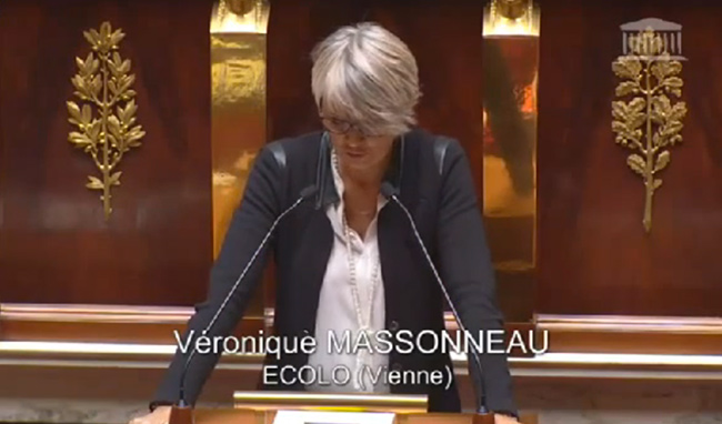 Véronique Massonneau : "Nous ne sommes pas dupes de ce que cache la volonté de criminaliser la GPA"