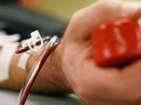 États-Unis : Vers une levée partielle de l'interdiction de dons de sang pour les gays