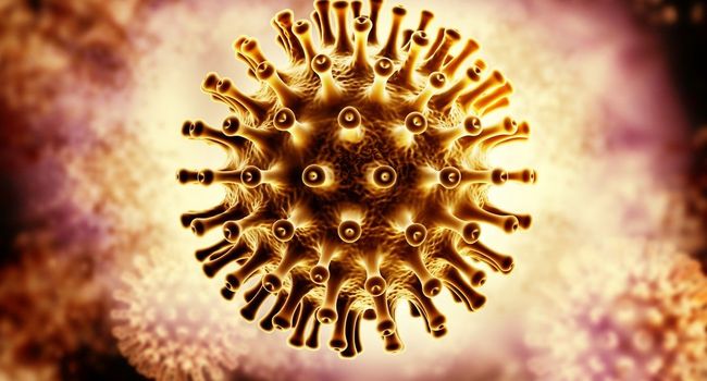 VIH/Sida : Des chercheurs français trouvent un moyen d'identifier des cellules « réservoirs » qui servent de cachette au virus