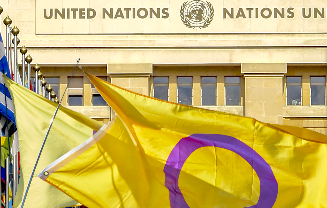 L’Onu adopte une résolution historique pour protéger les droits des personnes intersexes