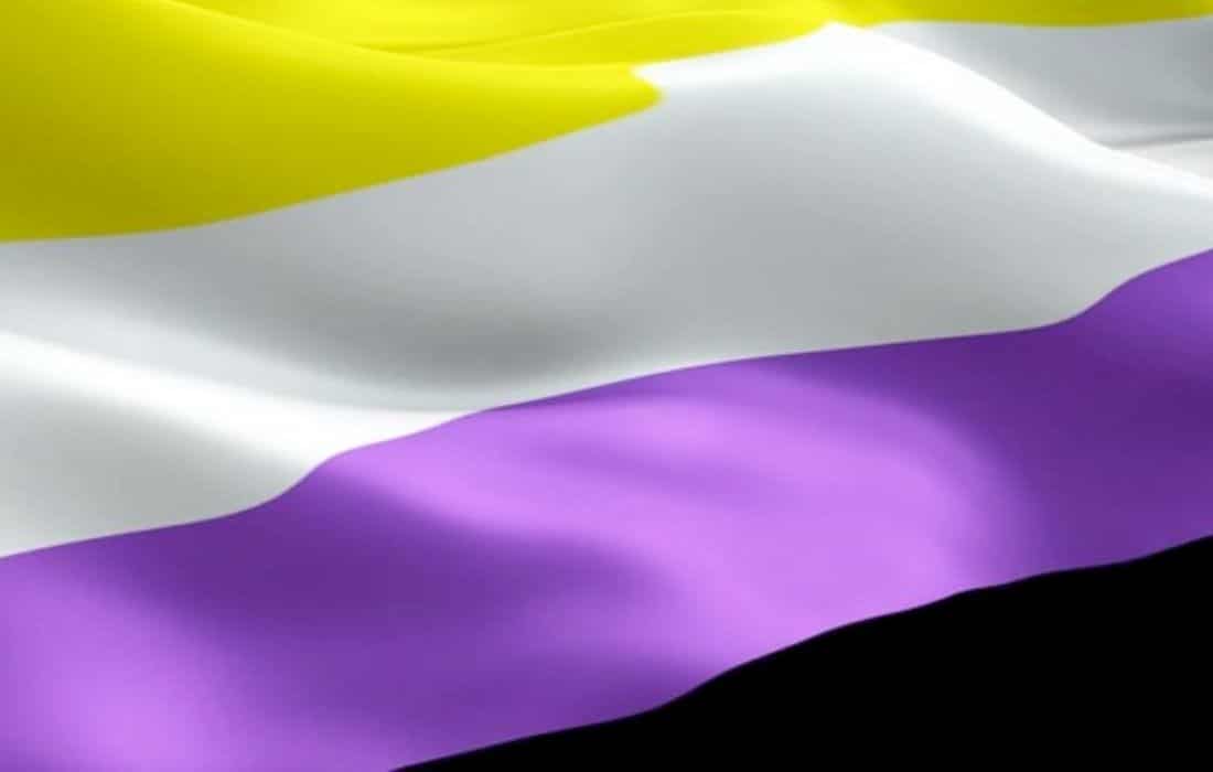 Identité non binaire et accès aux services en France : état des lieux