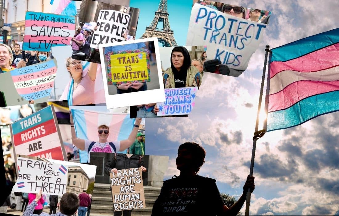 TDoV : : rendre visibles les vies, pas seulement les violences