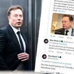 « Plus pédés qu’un flamant rose en tutu fluo » : plainte contre Elon Musk